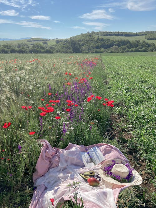 Plaid with fruits and straw hat in field