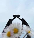 Sculpture of loving couple with chamomile