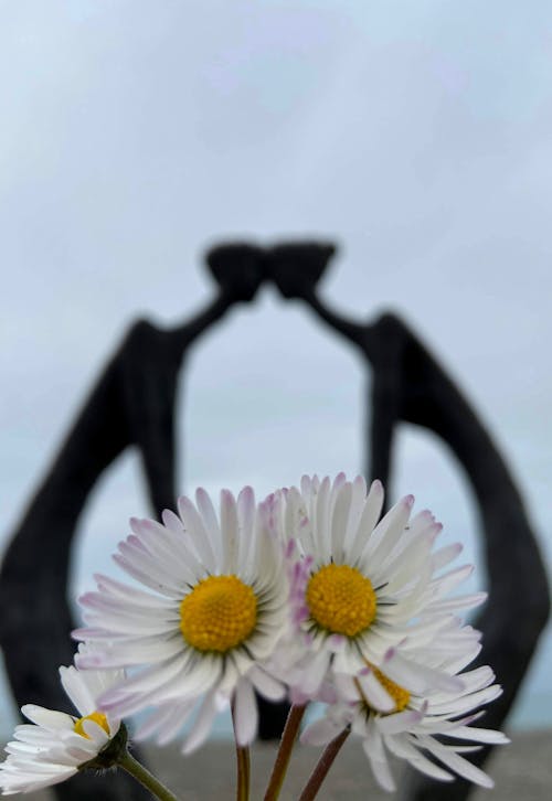 From below of blossoming chamomile growing against sculpture of couple caressing with foreheads