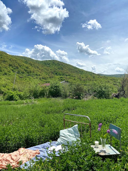 Bed with blanket and pillow in green field