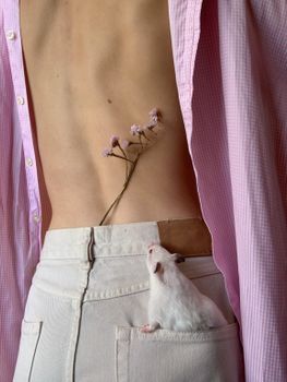 独特的构图以鼠标和粉色花朵的背影为特色，将自然与时尚融为一体