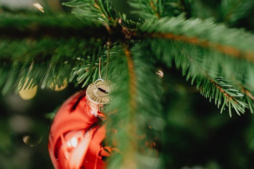 Foto profissional grátis de decoração de Natal, fechar-se, natureza-morta