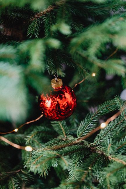 Close-up of a red bauble hanging on a decorated Christmas tree with lights.