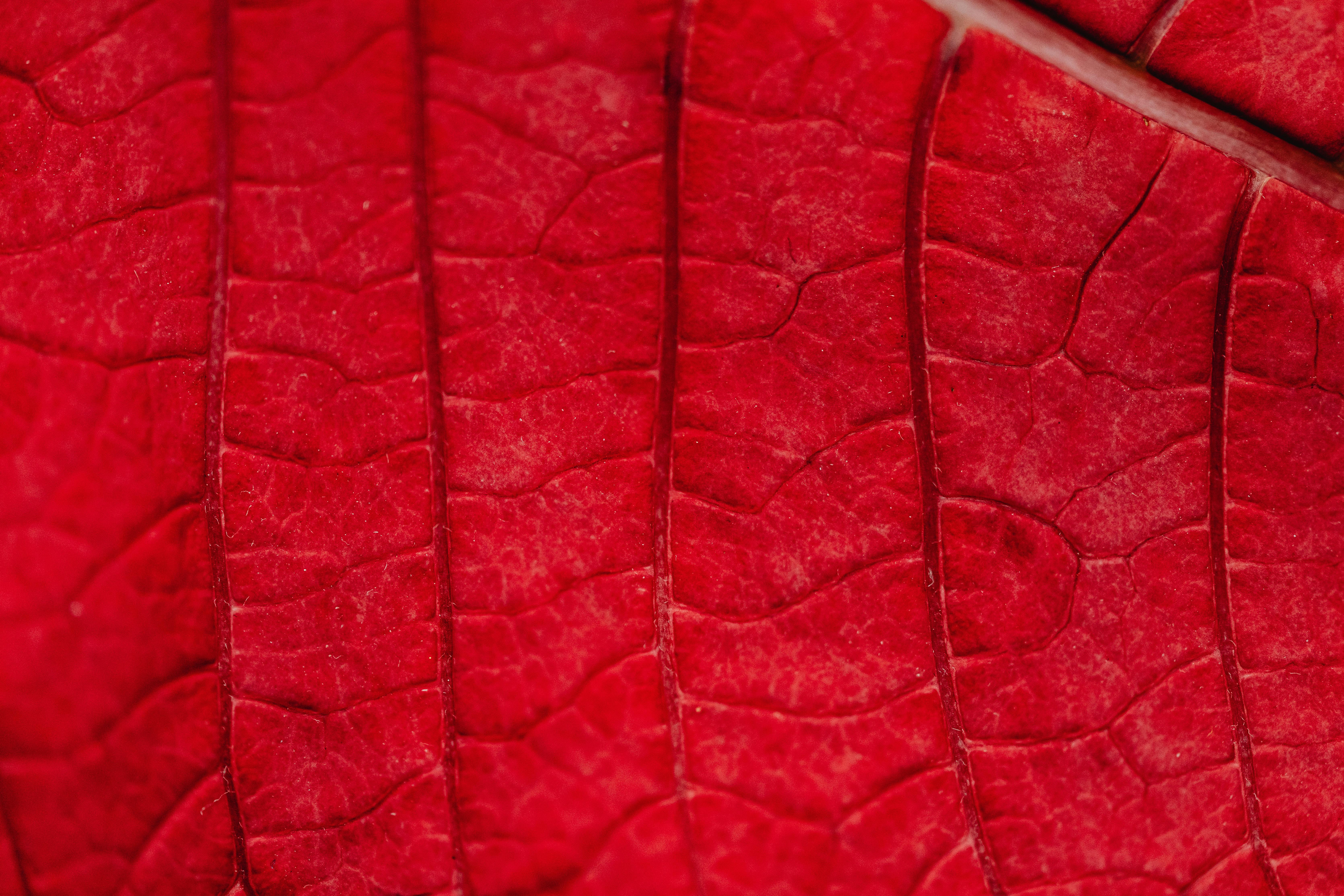 Red Leather Close Up Texture Picture, Free Photograph