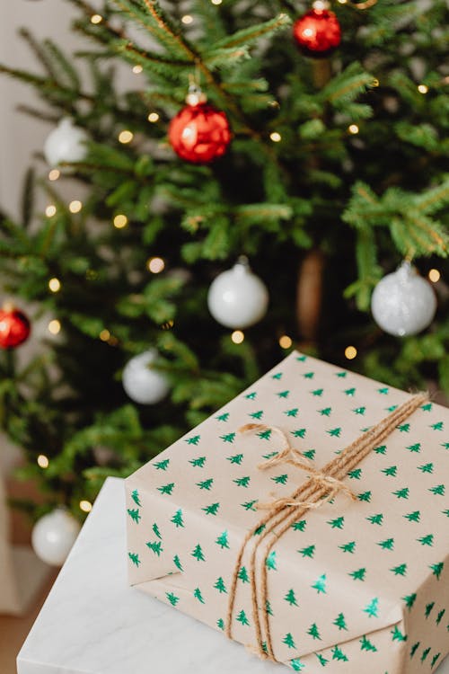 Foto profissional grátis de árvore de Natal, celebração, decoração