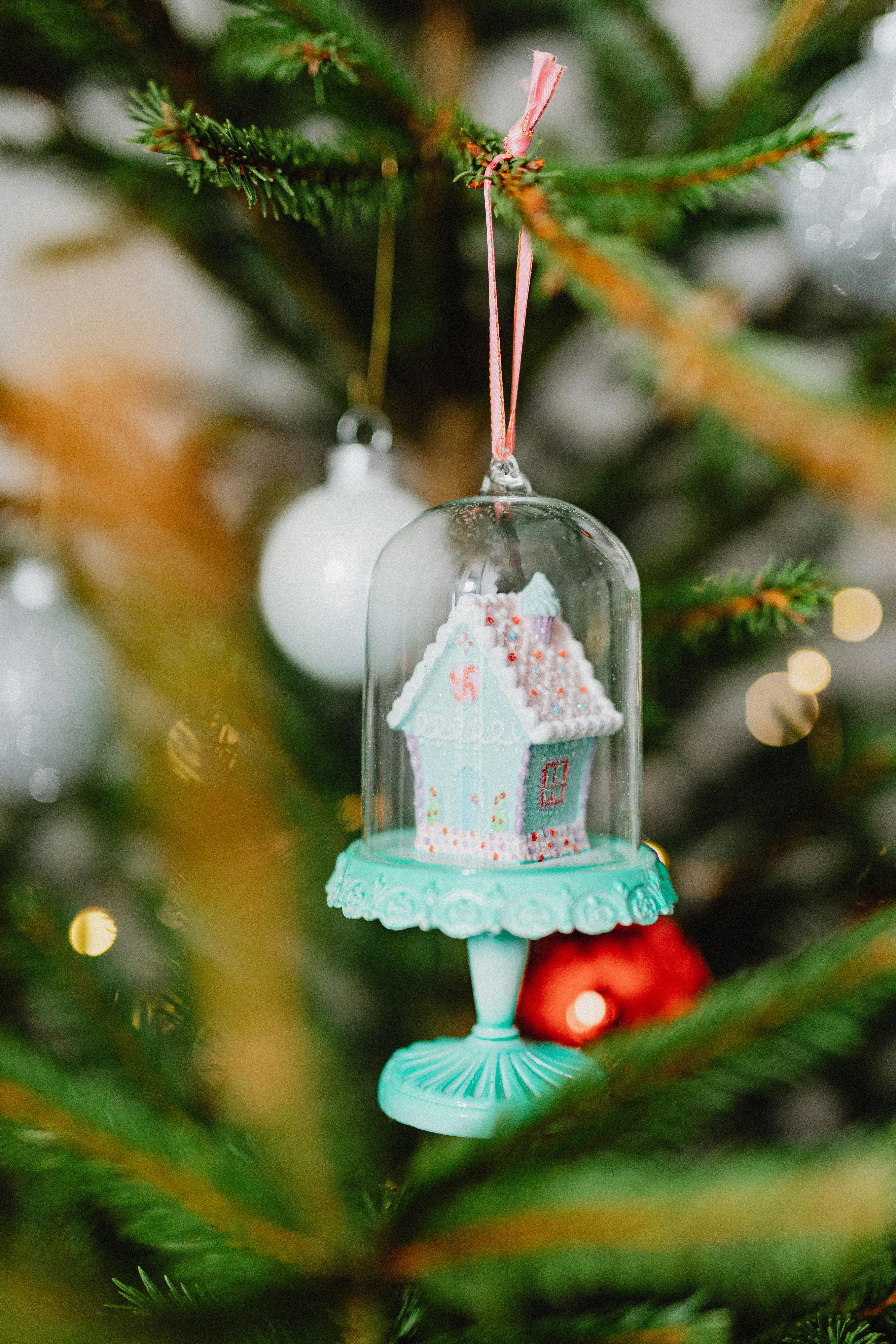 Ornament on a Christmas Tree · Free Stock Photo
