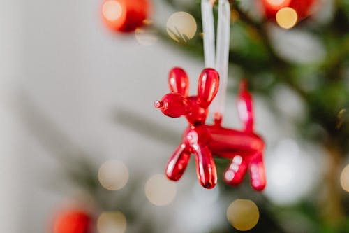 Fotos de stock gratuitas de adorno de navidad, árbol de Navidad, bola de navidad