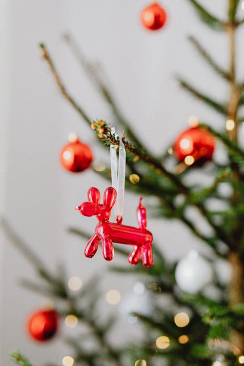 Christmas Tree Decoration Hanging on Branch
