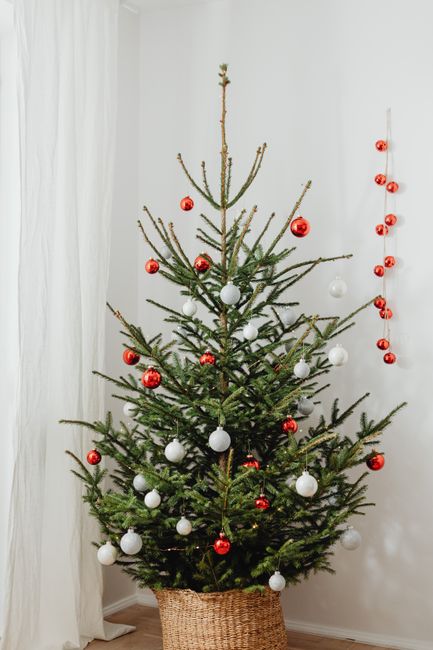 Cozy home interior with a simple Christmas tree adorned with red and white ornaments.