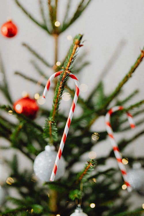 クリスマスツリー, セレクティブフォーカス, つまらないものの無料の写真素材