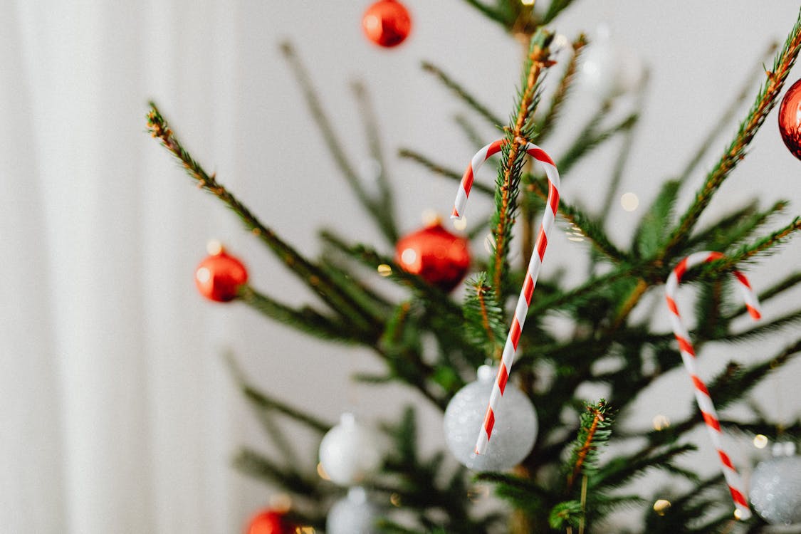 Close-up of Ornaments on a Christmas Tree