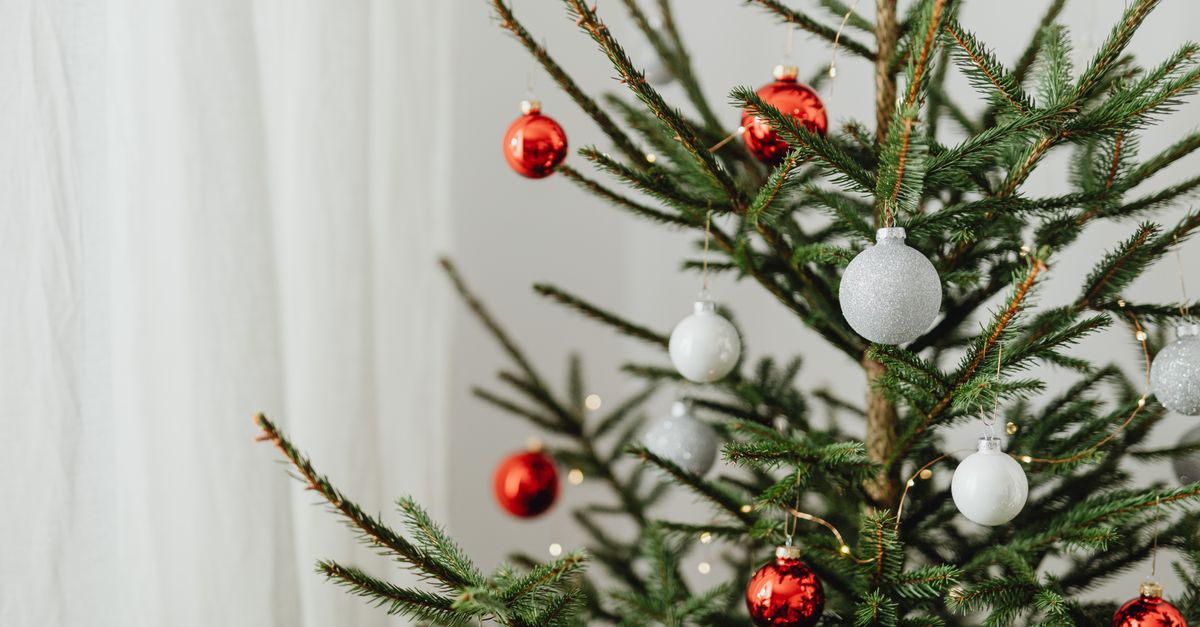Comment Rendre Votre Noël Magique avec des Traditions Étonnantes