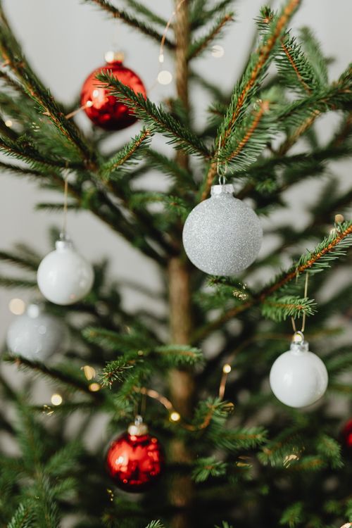 Free A close-up of a Christmas tree adorned with red and silver ornaments, creating a festive holiday atmosphere. Stock Photo