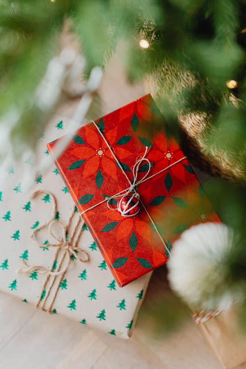 Immagine gratuita di albero di natale, celebrazione, espone