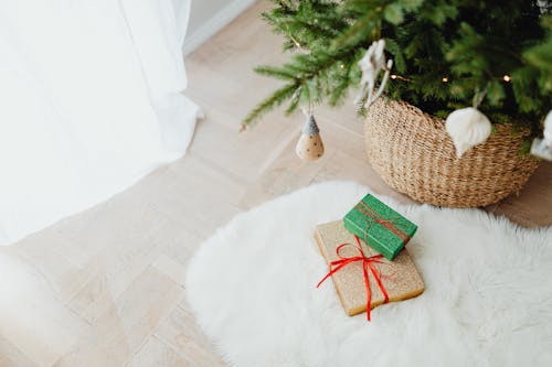 Green and Gold Gift Boxes on Fur Carpet