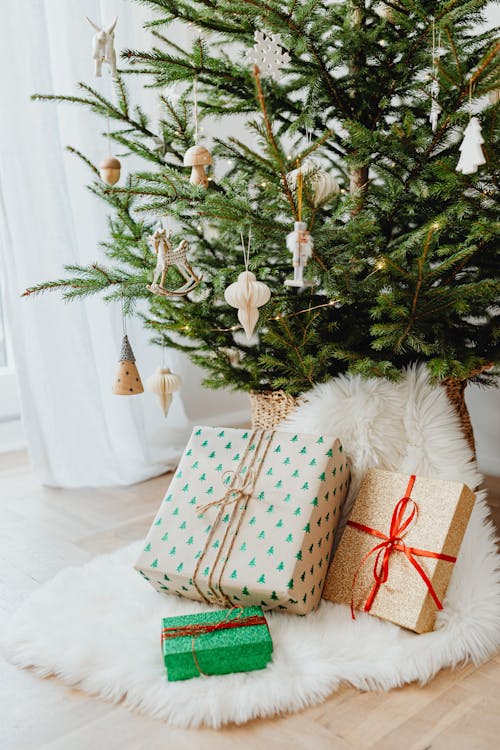 無料 クリスマスツリー, 毛皮カーペット, 連休シーズンの無料の写真素材 写真素材