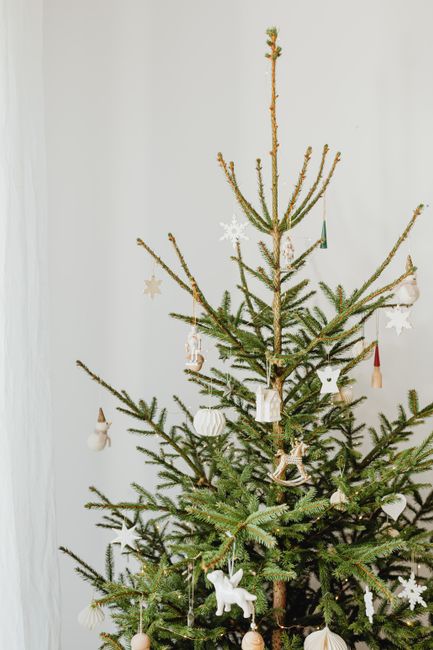 A simple and elegant Christmas tree with minimalist white decorations displayed indoors.