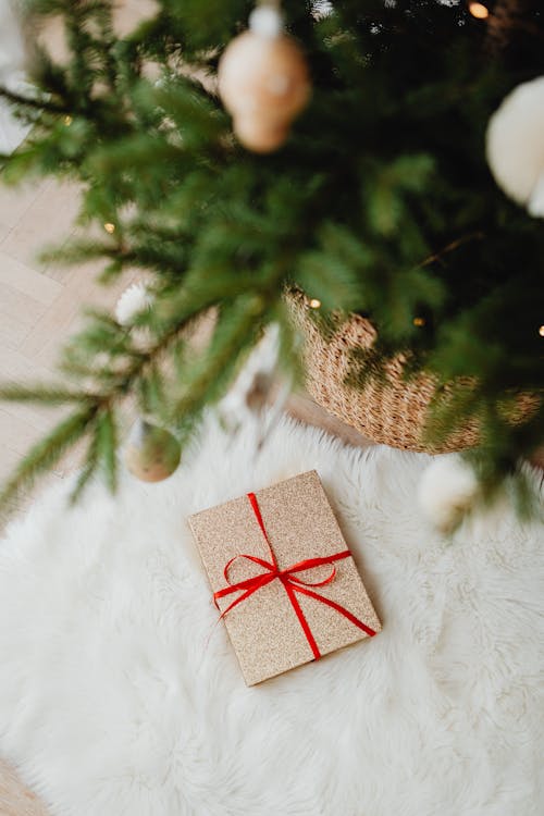 Wrapped Gift Lying Under Christmas Tree