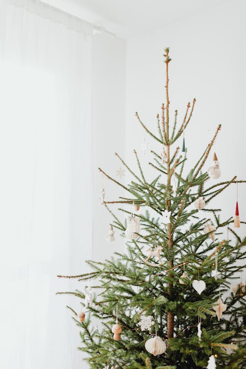 Foto d'estoc gratuïta de adorn nadalenc, arbre de Nadal, arbre real
