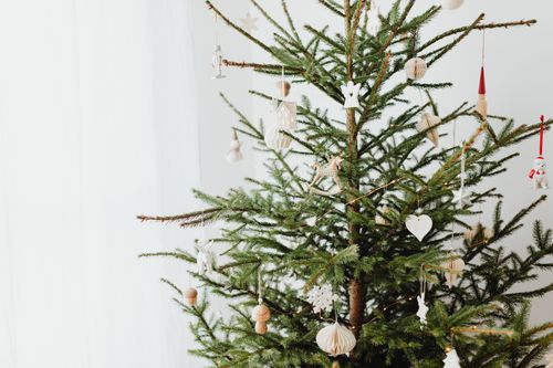 Free A simple Christmas tree adorned with minimal decorations, symbolizing a cozy holiday season. Stock Photo