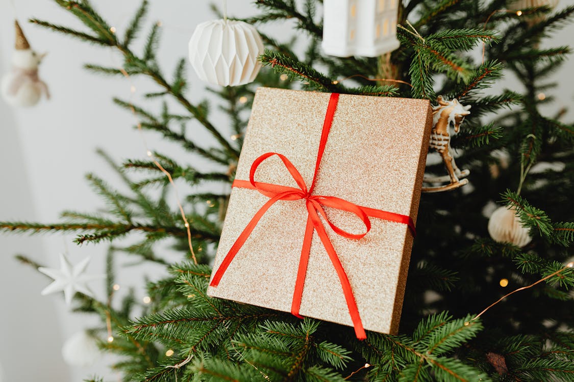 Free Wrapped Christmas Gift on Fir Tree Stock Photo