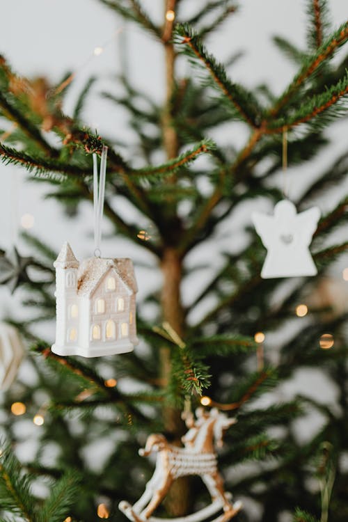 Fotos de stock gratuitas de adornos, árbol de Navidad, de cerca