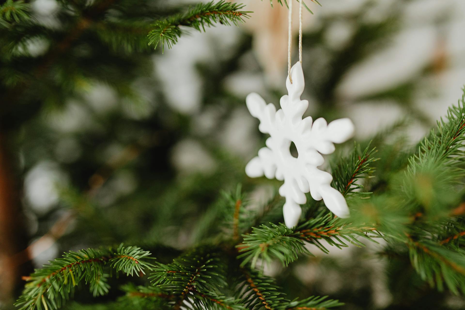 Close up of a Snowflake Decoration
