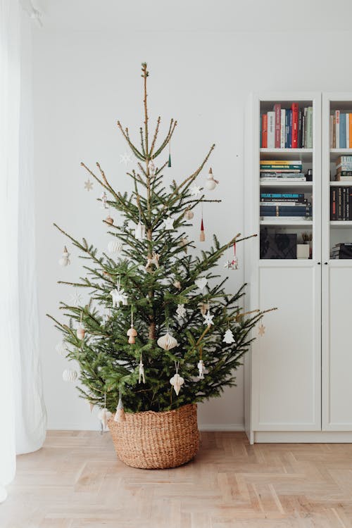 ornaments on a christmas tree