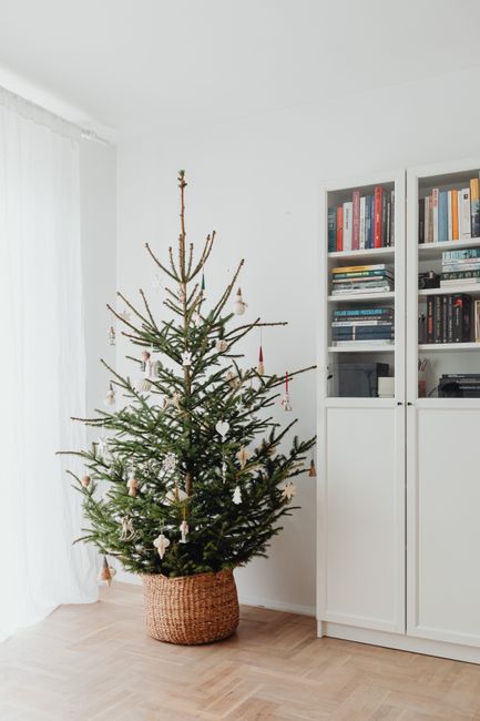Simple and elegant Christmas tree in a modern living room interior.