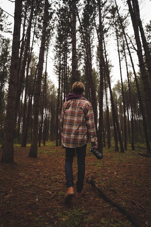 Unrecognizable photographer strolling in forest in autumn