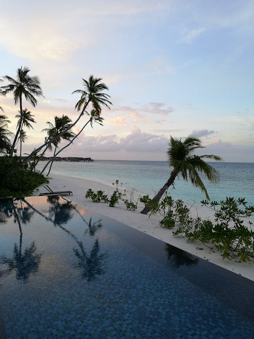 A Swimming Pool near the Beach