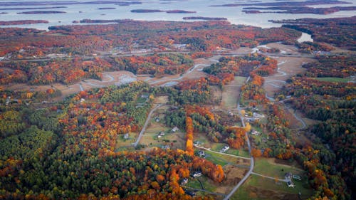 Aerial view of residential houses of suburb town located among autumn forest with river