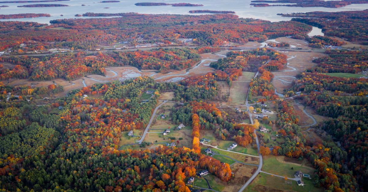 Aerial view of residential houses of suburb town located among autumn forest with river