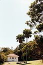 Small house situated on sunny glade among palms
