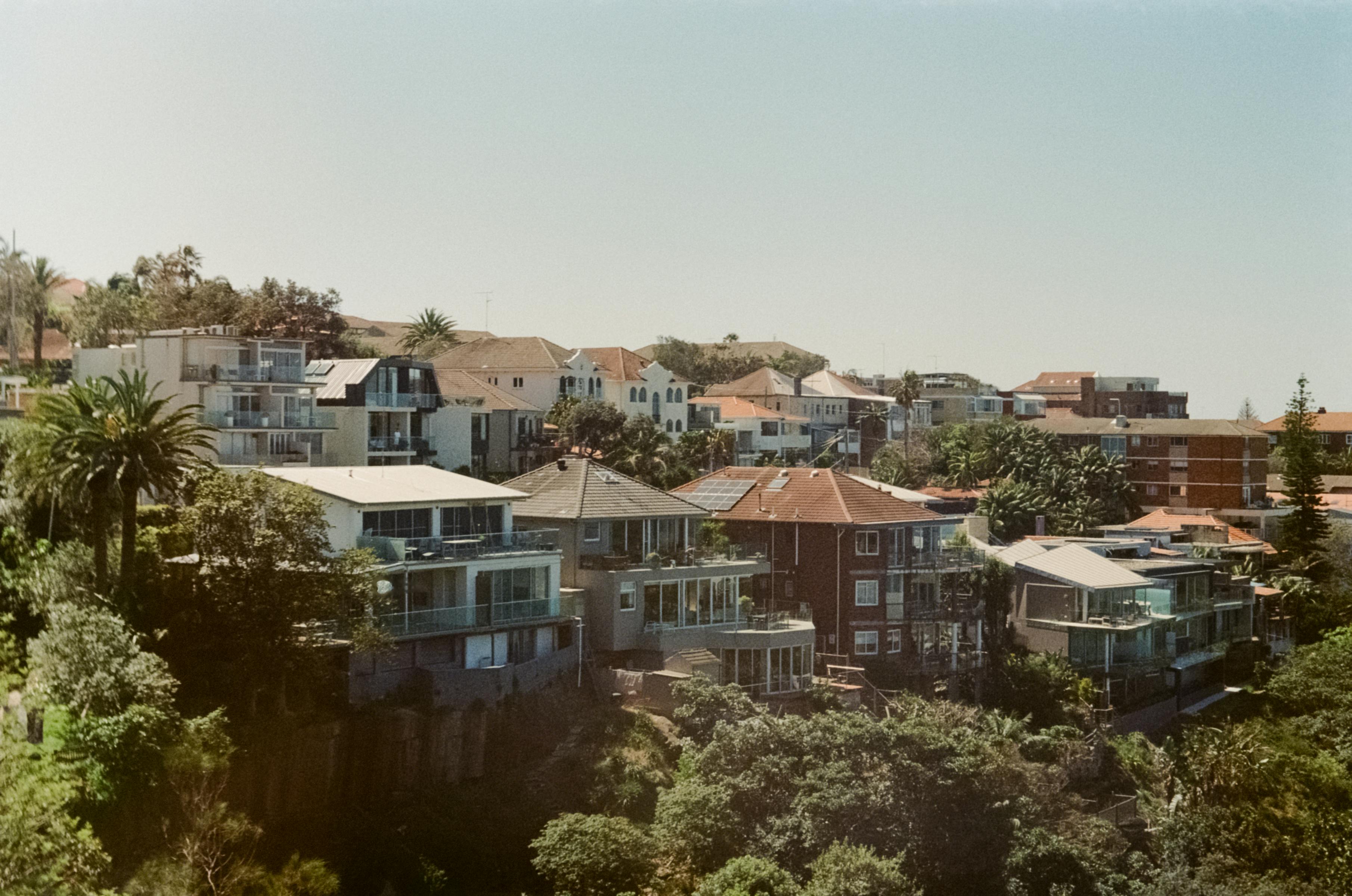 Small settlement surrounded with trees with lush green foliage · Free Stock  Photo