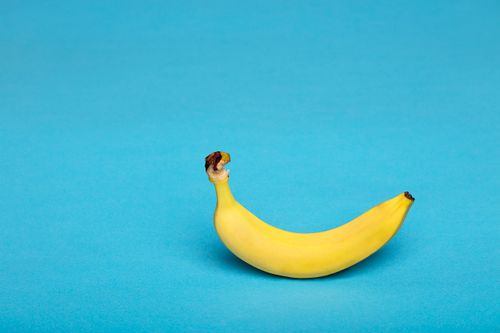Free A vibrant yellow banana positioned against a bright blue background, capturing the essence of fresh fruit in a still life setting. Stock Photo