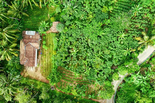 Foto profissional grátis de acordo, aéreo, aldeia