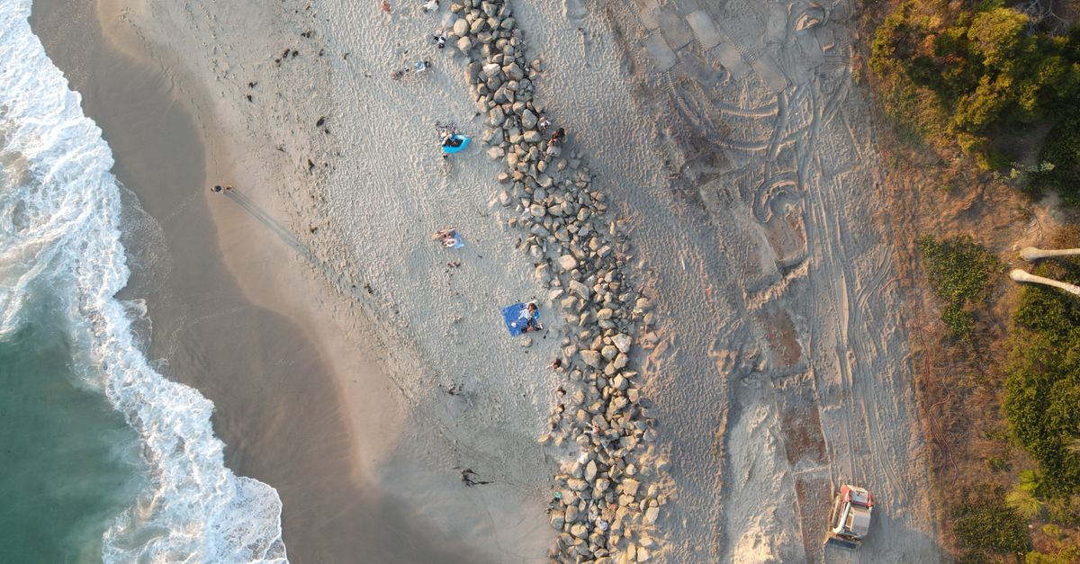 Beach survey