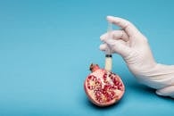 Person Holding Sliced Pomegranate Fruit