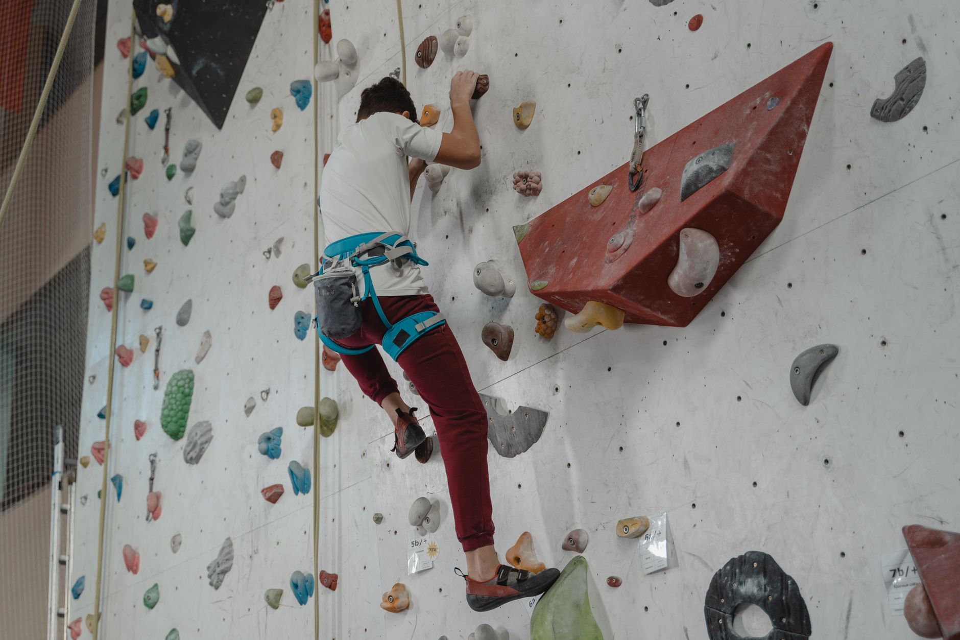 Adaptive Climbing Program Offers New Heights for People With Disabilities