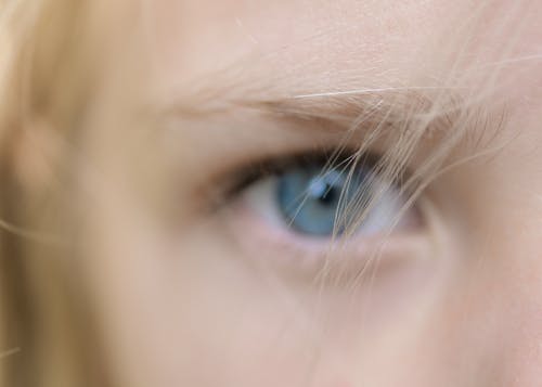 Free Human Eye Stock Photo