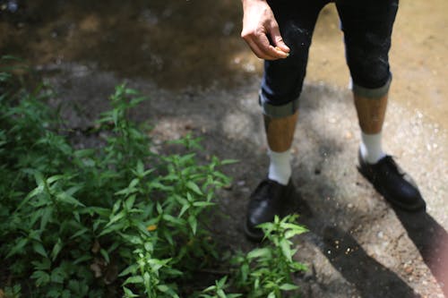 Man in denim shorts fertilizing soil with green plants