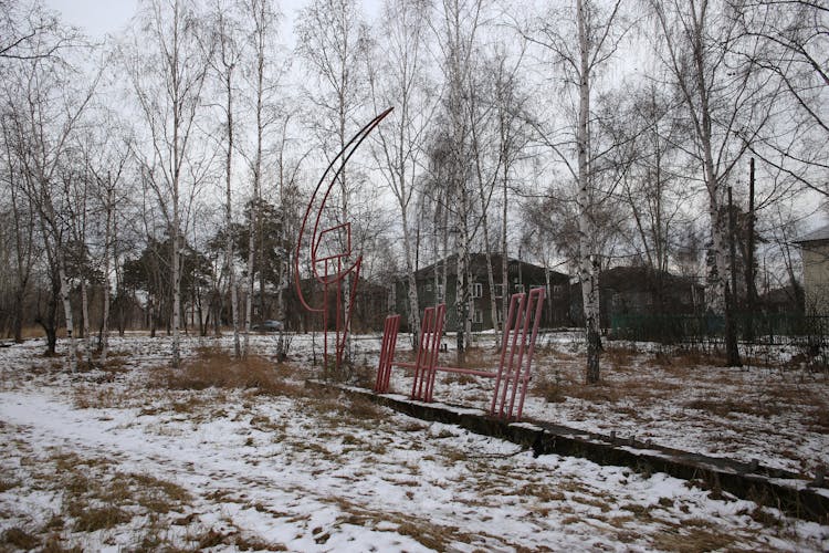 Leafless Trees Near Metal Construction In Spring