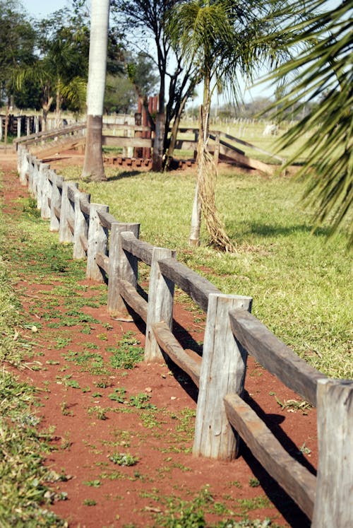 Free stock photo of farm, fence, tourism Stock Photo