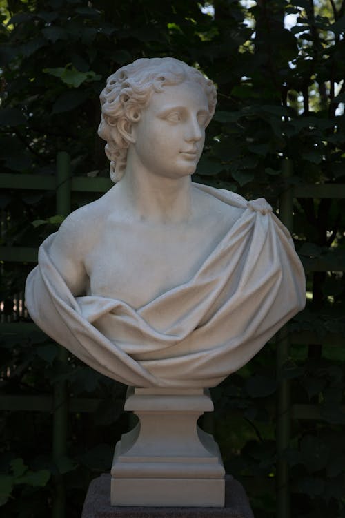 Marble bust in summer garden