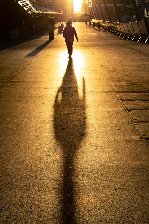 Back view of anonymous person in casual outfit walking along asphalt walkway in evening at sundown