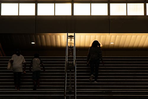 Full bodies of anonymous people ascending and descending on stairway in modern building in evening
