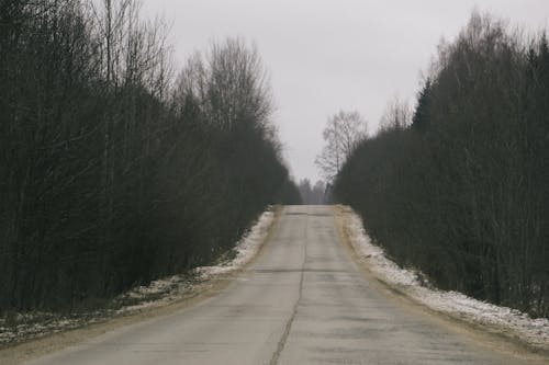 Empty rural road near forest without foliage under gloomy gray sky in daytime