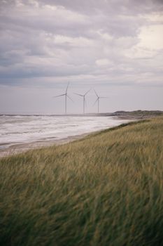 Wind turbines on a grassy beach with ocean waves under a cloudy sky, perfect for renewable energy themes.
