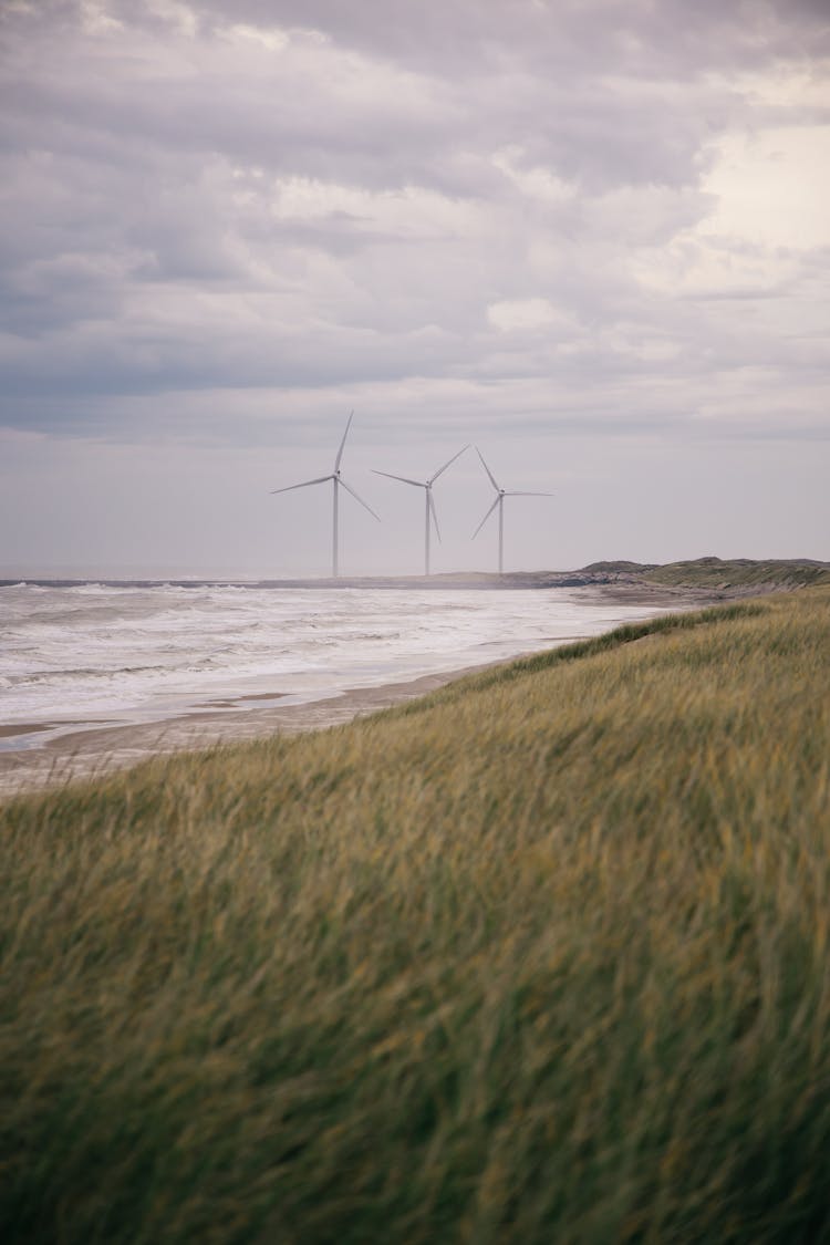 Windmills In Ocean Nature Landscape